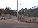 Thursday Aug 21, McIntire Park