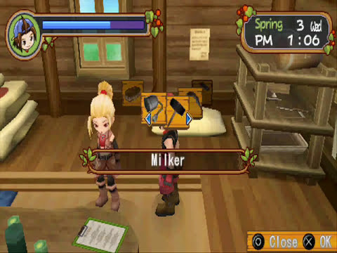 how to marry gwen in harvest moon