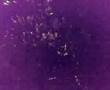 Hjallerup Marked , eksplosion