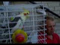 Brady gets scratches