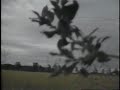 Wildlife Pit Blinds Outfitter Goose Hunting In Ontario Wildlife Pit Blinds Outfitter Goose Hunting In Ontario