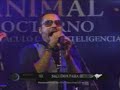 Royal Club en Animal Nocturno - Su Majestad / Ste Ska