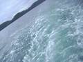 Barco Lopes Mendes..