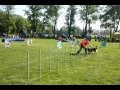 video 2012 05 19 09 49 34