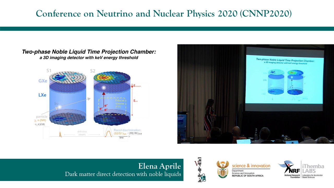 CNNP 2020 - Dark Matter Detection with Noble Liquids