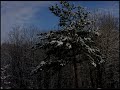 image/sound test.