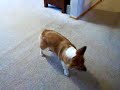 Max-Play Time!!! Max-Play Time!!!