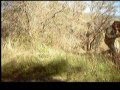 paintball