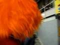 Youppi !!!
