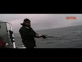 Halibut Explosion
