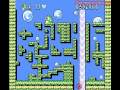 rare game for the nes developer: taito publisher: taito america corp. platform: nes release: 1993