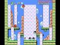 rare game for the nes developer: taito publisher: taito america corp. platform: nes release: 1993