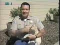 World's Wildest Cat - Pinky