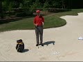 Golf's Ultimate Bunker Tips