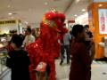 Take a look on my video about 2 Lion...