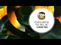 Pesho & Dave Bo feat. Will Jay - Lemon tree tekst piosenki