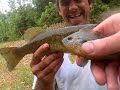 Sylamore Smallmouth #1