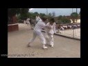 New kungfu program starting on 2009 New kungfu program starting on 2009