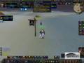 Schamane V.s Magier