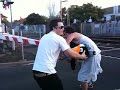 Boom Gate Penguin