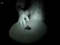dj bill p hohnny ofak 3