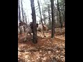 video1.mov Video