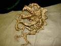 STRANGE CREATURES H.P. LOVECRAFT DEEP ONE SIDESHOW GAFF