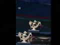 videos de Sunset Gondola Slideshow #1