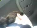 EZ Pass Mixup w/ Jacqueline and Joe
