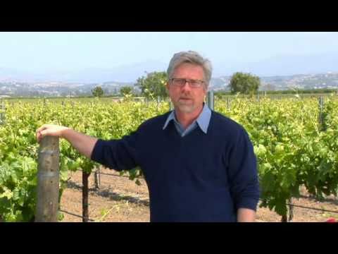 Winemaker from South Coast Winery talks about his labels