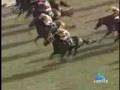 2008 シルクロードS SILK ROAD STAKES