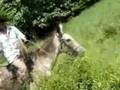 Marquillo cogiendo a lazo un caballo en Ecuador