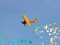 Bush Flying #2