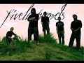 Fivelastwords - Brilliant Lie Manele-Gratis.net