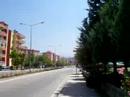 efe yi?enim