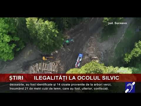 Ilegalități, la ocolul silvic Dealu Negru
