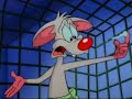 pinky y cerebro capitulo 2 parte 2 de 2