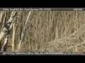 0 Billy Goat Hill Rd ESTILL SPRINGS US-TN 37330