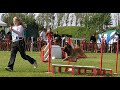 Video WCh FMBB 2007