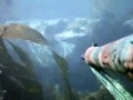 SPEARO GSY - Spearfishing  xx WARNING dispatched fish xx