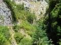 videos de sajambre