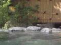 伊豆長岡:藍染の宿長岡ホテル