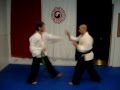 Pakua Bagua Técnicas varias Combinado