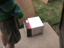 Moving Day