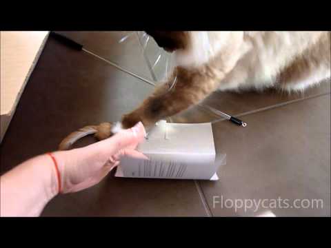 Neko Flies Small Kittenator Review 0 Neko Flies Small Kittenator Review