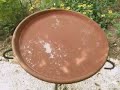 Mold in your birdbaths