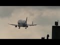 beluga2.avi