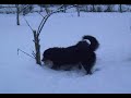 karabash.mp4