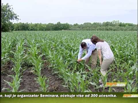 AgroDan 12.06.2013.