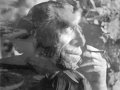 The Rat - Charles Bukowski feat. GarageBand - Arr. Mahonas